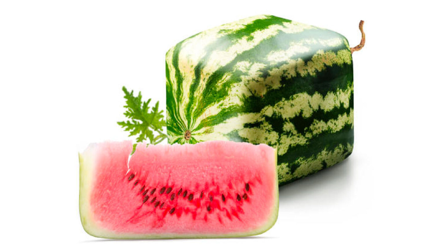 Ornamental Square Watermelons are in Japan. The Japan Media