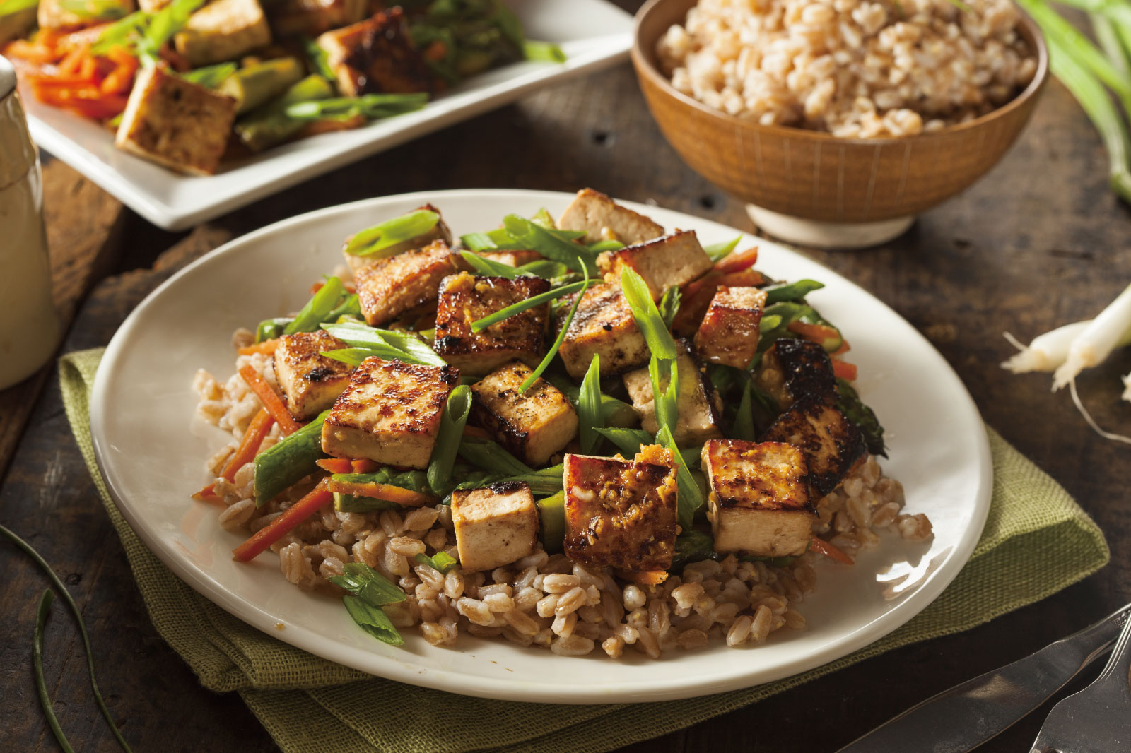 5 Easy Tofu Recipes | The Japan Media